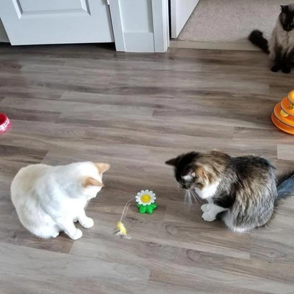 Kattenspeeltje Vogel met Veer en Touw