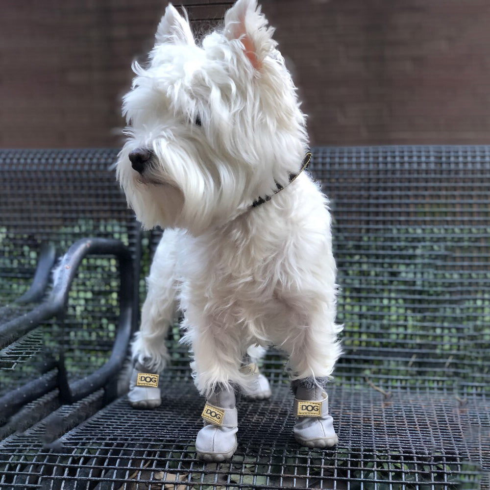 Honden Snowboots Warm en Waterdicht voor Winter