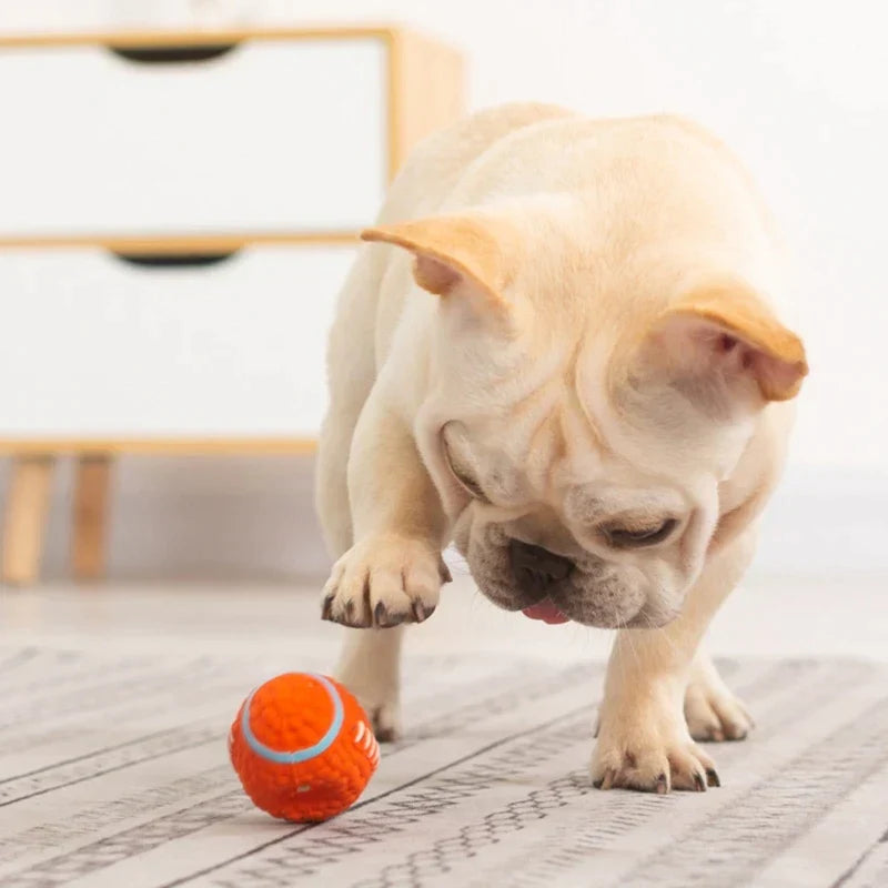 Honden Speelmaatje Onverwoestbaar KryptoChew