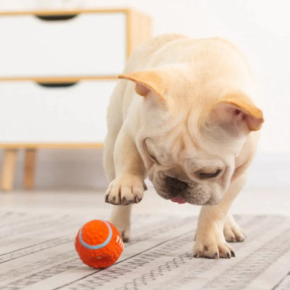 Honden Speelmaatje Onverwoestbaar KryptoChew