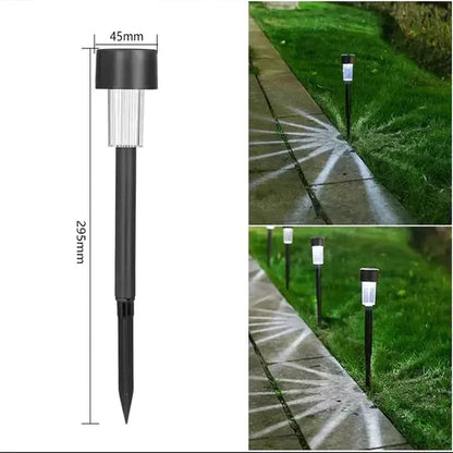 Zonne-Energie Tuinverlichting Sfeervol en Duurzaam