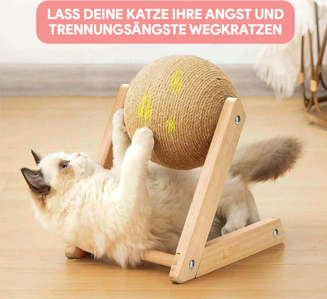 Kattenspeeltje Interactief met Krabpaal en Speeltunnel