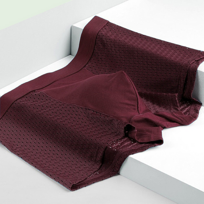 Bamboe Boxershorts Heren Zacht en Comfortabel 10-delige Set