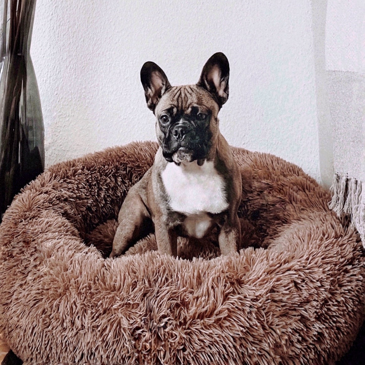 Hondenmand Fluffy Plus – Orthopedisch Slaapbed voor Honden