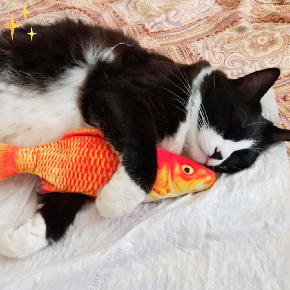 Kattenspeeltjes Vissen Bewegende Speelset voor Katten