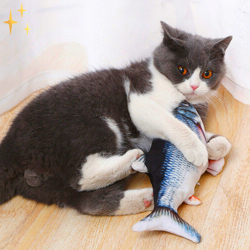 Kattenspeeltjes Vissen Bewegende Speelset voor Katten