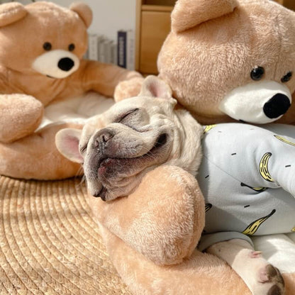 Knuffelbeer Verstelbaar SnuggleBear Zachte Speelgoed Knuffel