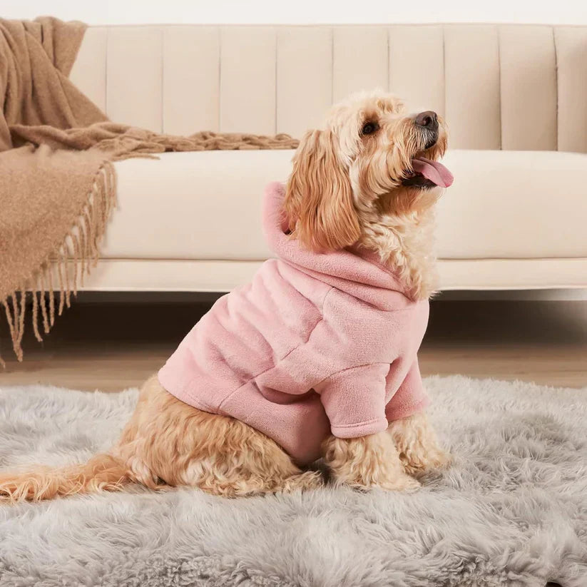 Honden Hoodie Set voor Baas en Hond Matching Kleding