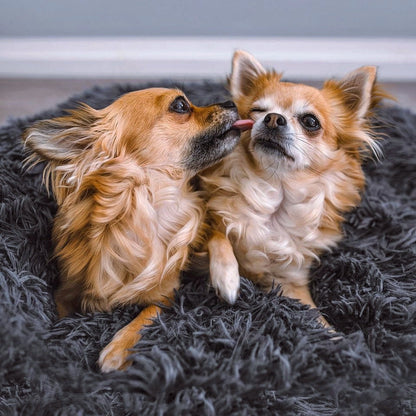Hondenmand Fluffy Plus – Orthopedisch Slaapbed voor Honden