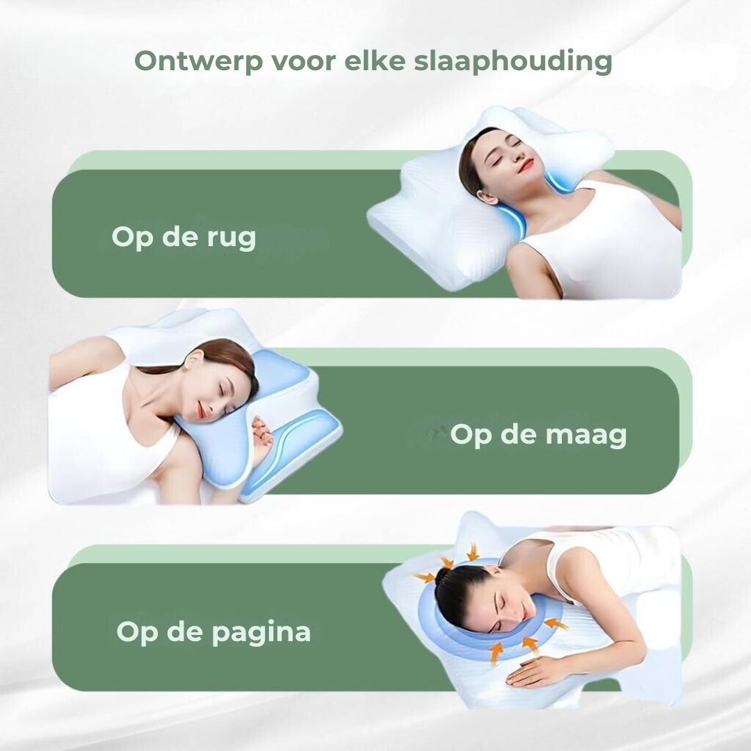 Orthopedisch Kussen voor Rugsteun en nekondersteuning