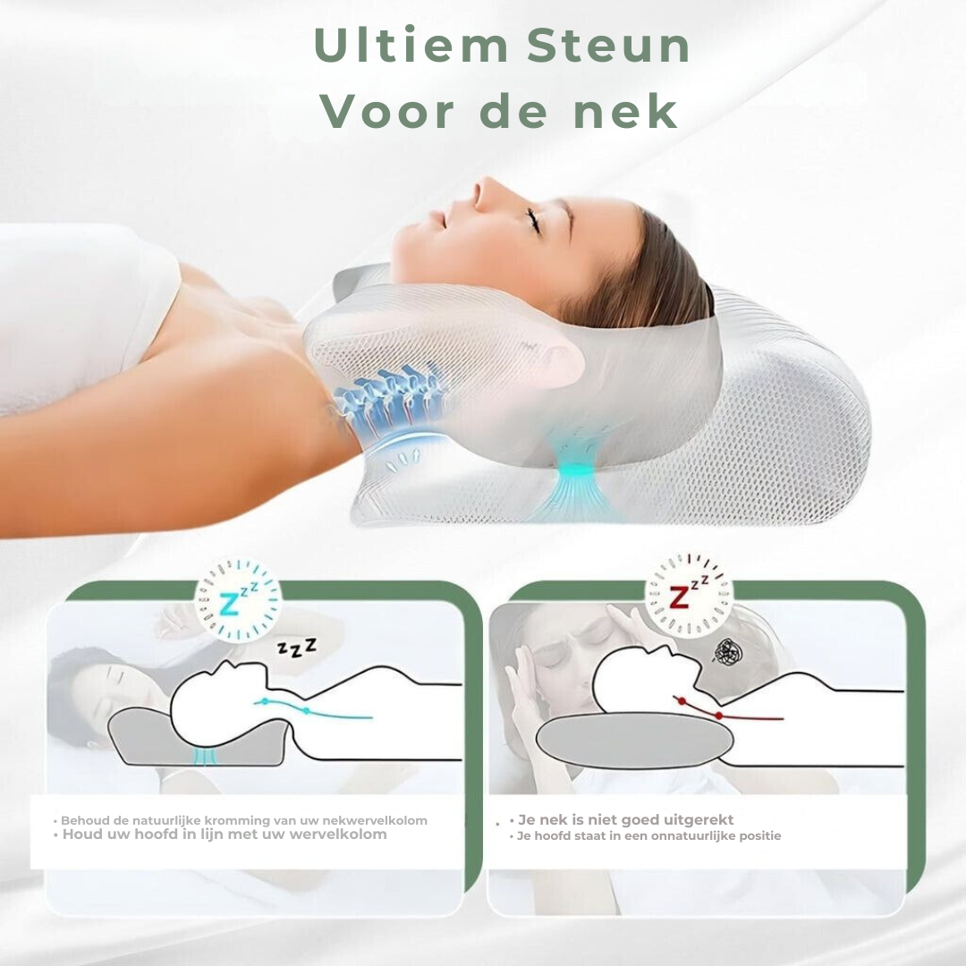Orthopedisch Kussen voor Rugsteun en nekondersteuning