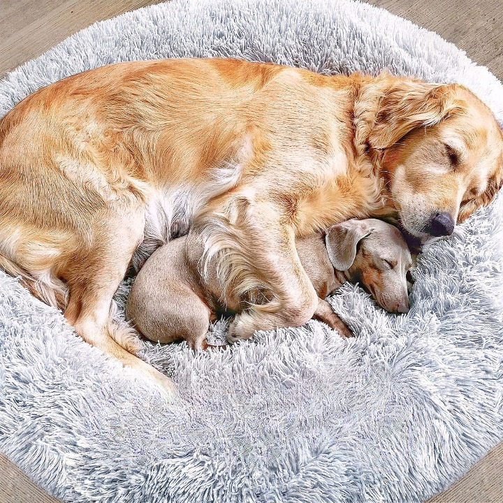 Hondenmand Fluffy Plus – Orthopedisch Slaapbed voor Honden - Mode Vibes