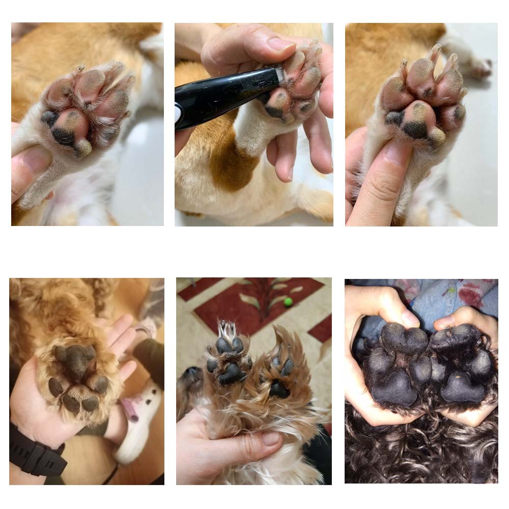 Huisdier Haartrimmer voor Honden en Katten met Veilige Mesjes
