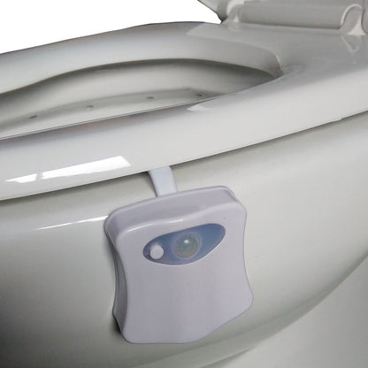 LED Toiletverlichting met Bewegingssensor en Nachtverlichting