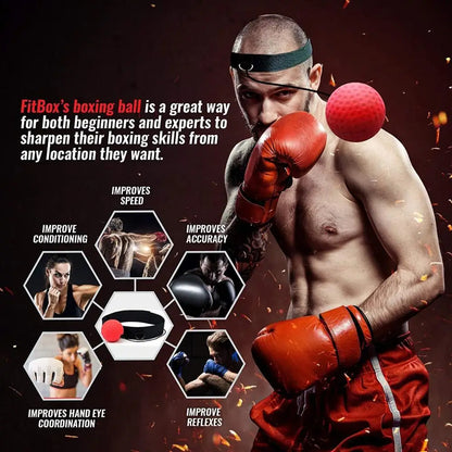 Boksbal Reflex Training PunchPro