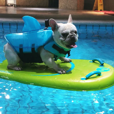 Hondenzwemvest AquaPup voor Honden Veilig Zwemmen
