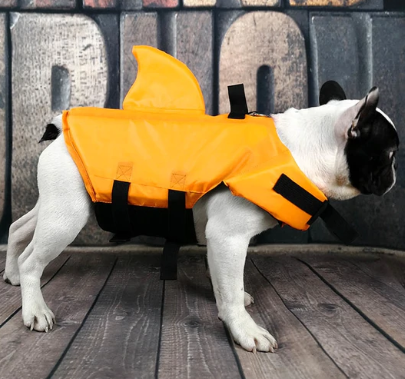 Hondenzwemvest AquaPup voor Honden Veilig Zwemmen