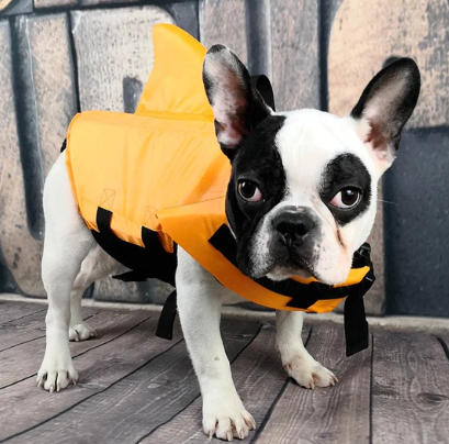 Hondenzwemvest AquaPup voor Honden Veilig Zwemmen