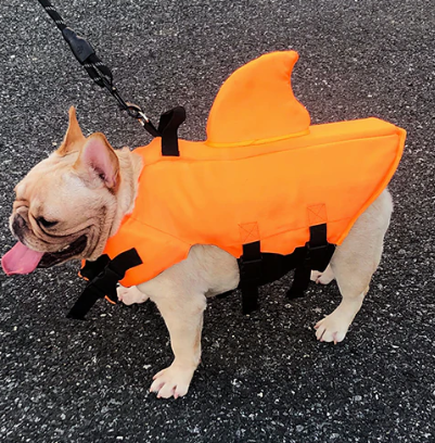 Hondenzwemvest AquaPup voor Honden Veilig Zwemmen