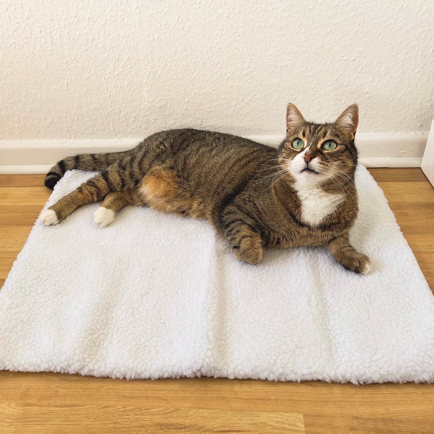 Kattenmat Zelfverwarmend Warm met Thermostaat - Mode Vibes