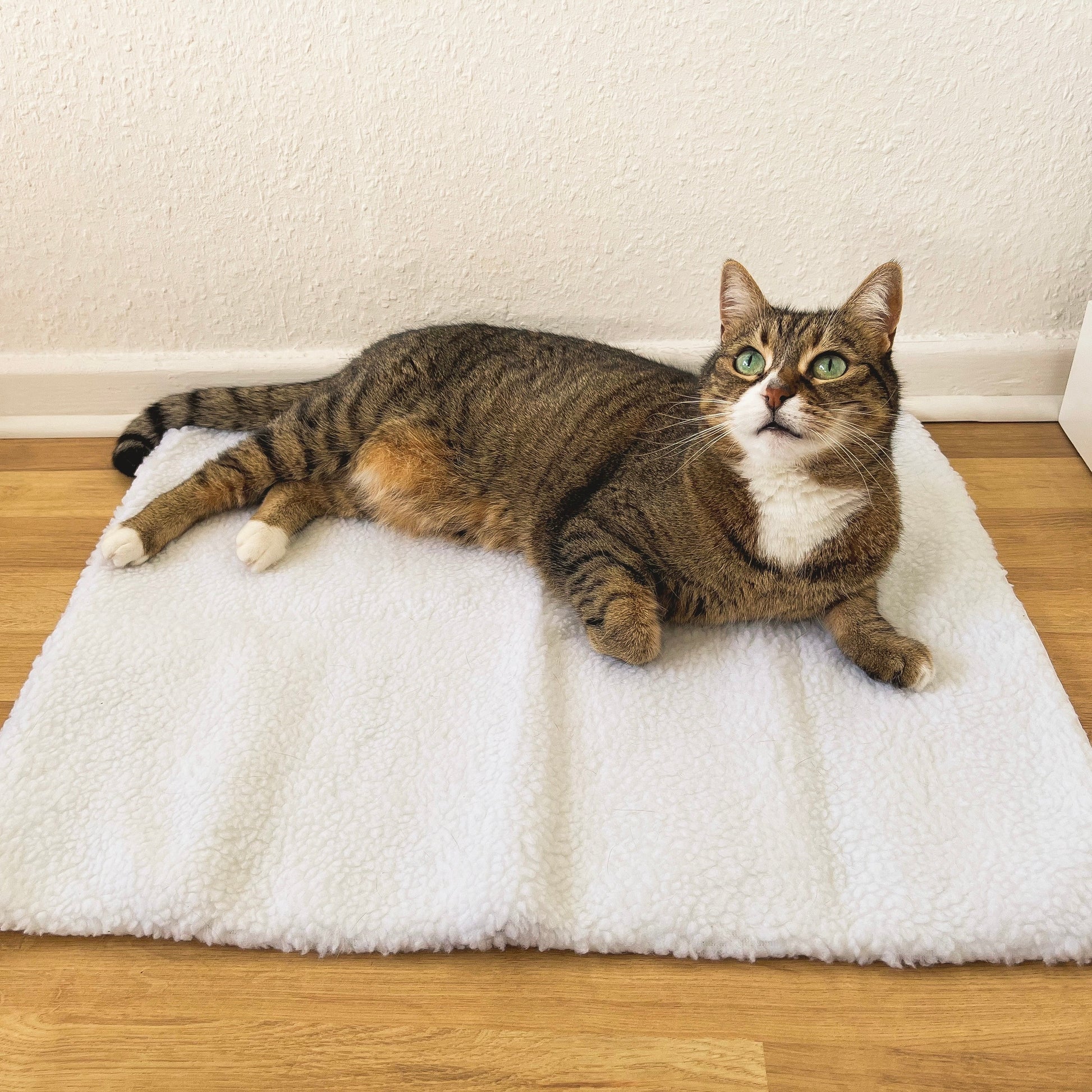 Kattenmat Zelfverwarmend Warm met Thermostaat - Mode Vibes