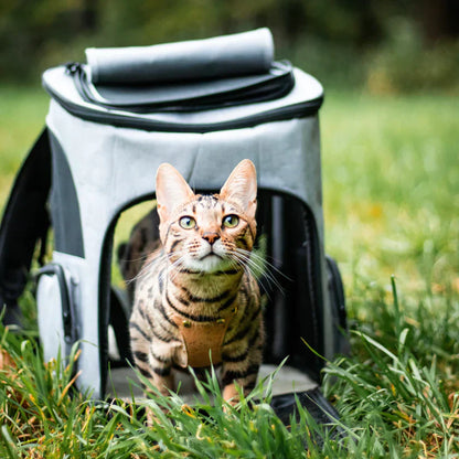 Kattentas - Katten Reisrugzak voor Dieren