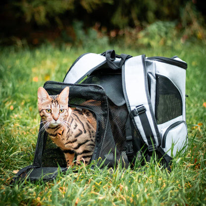 Kattentas - Katten Reisrugzak voor Dieren