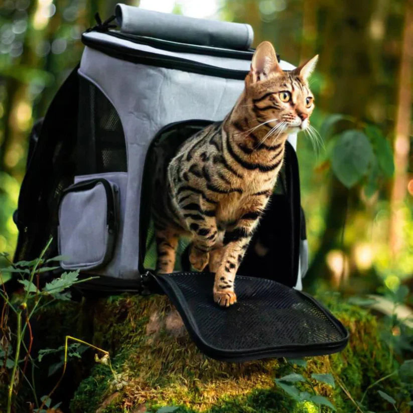 Kattentas - Katten Reisrugzak voor Dieren - Mode Vibes