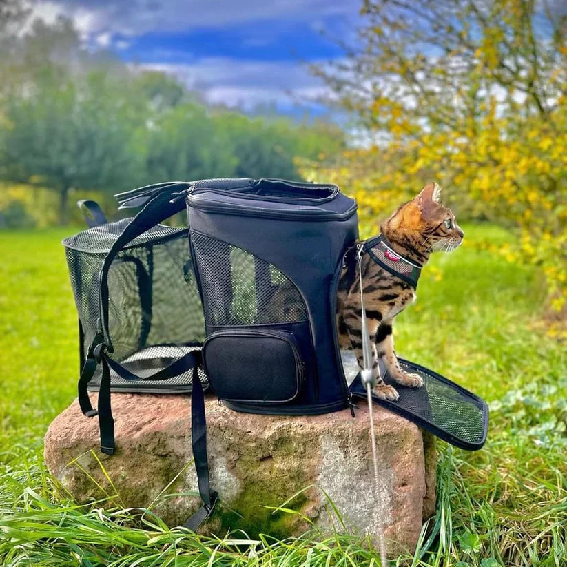 Kattentas - Katten Reisrugzak voor Dieren