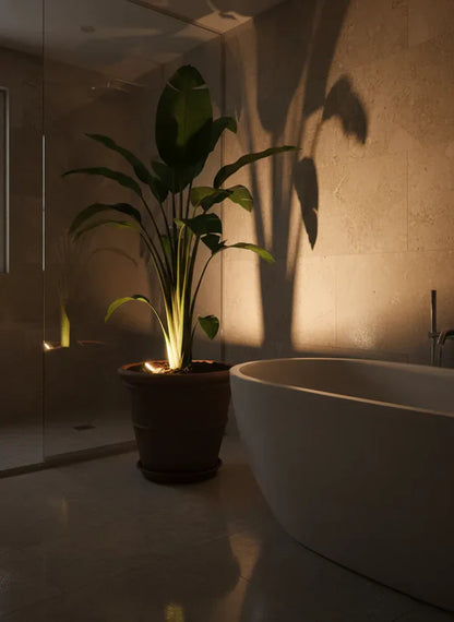Accentverlichting voor kamerplanten stijlvol en compact
