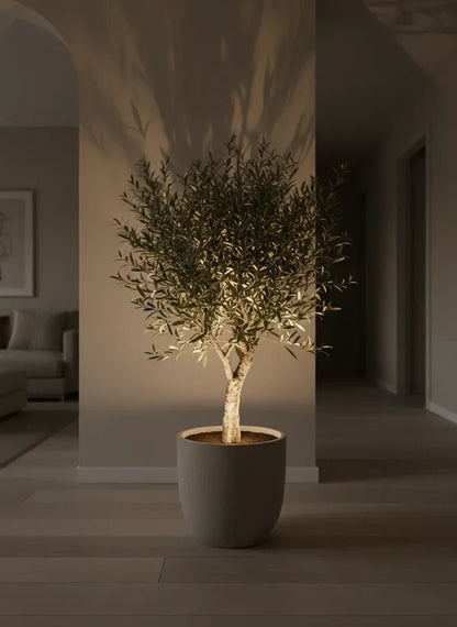 Accentverlichting voor kamerplanten stijlvol en compact
