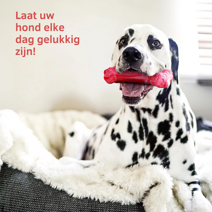 Hondentandverzorger Speels en Leuk voor BuddyChew