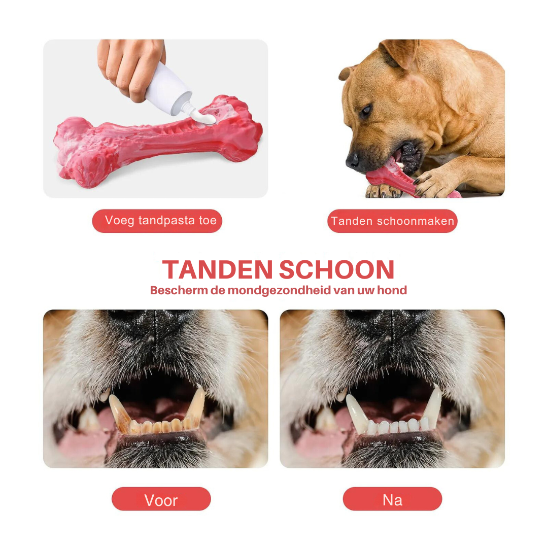 Hondentandverzorger Speels en Leuk voor BuddyChew