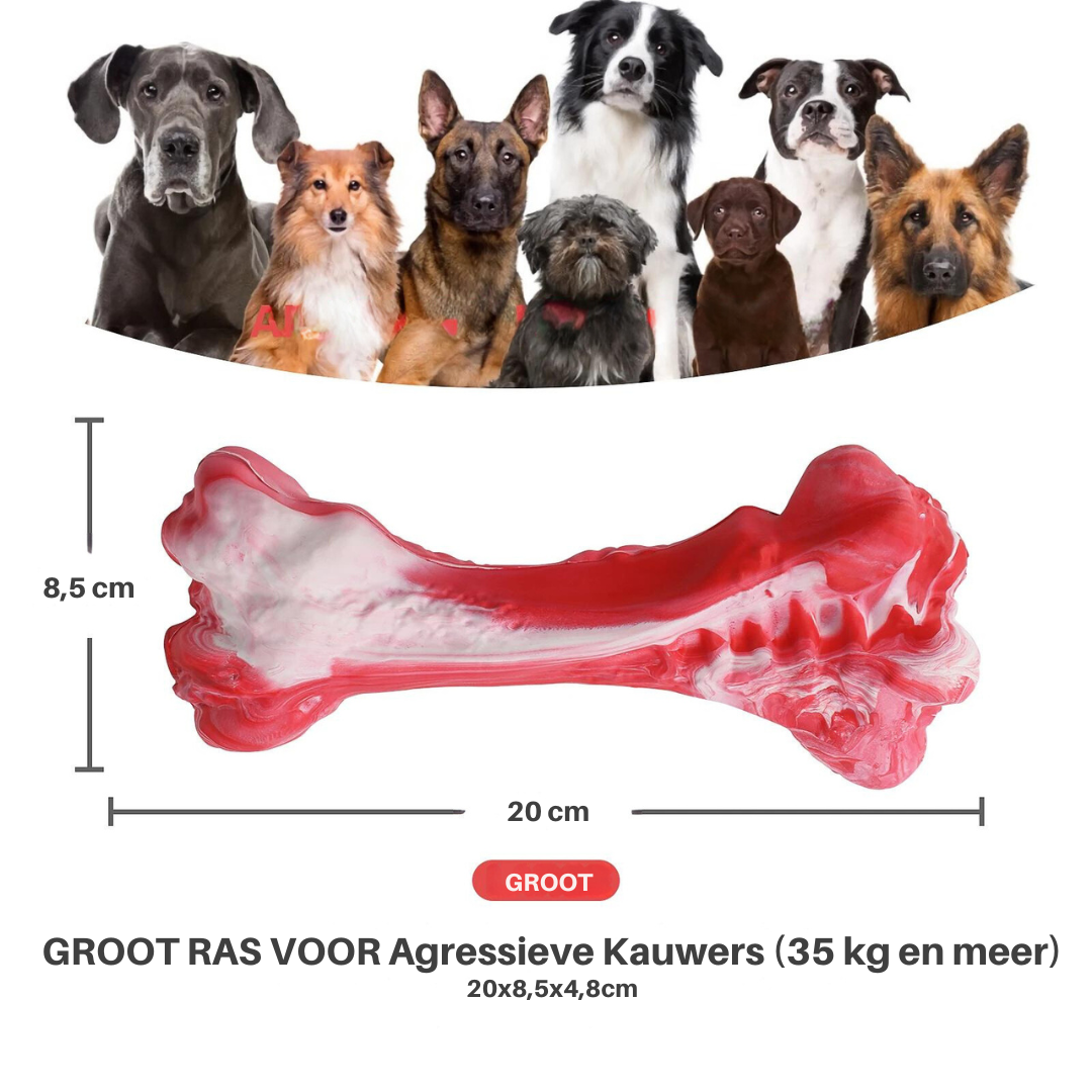 Hondentandverzorger Speels en Leuk voor BuddyChew
