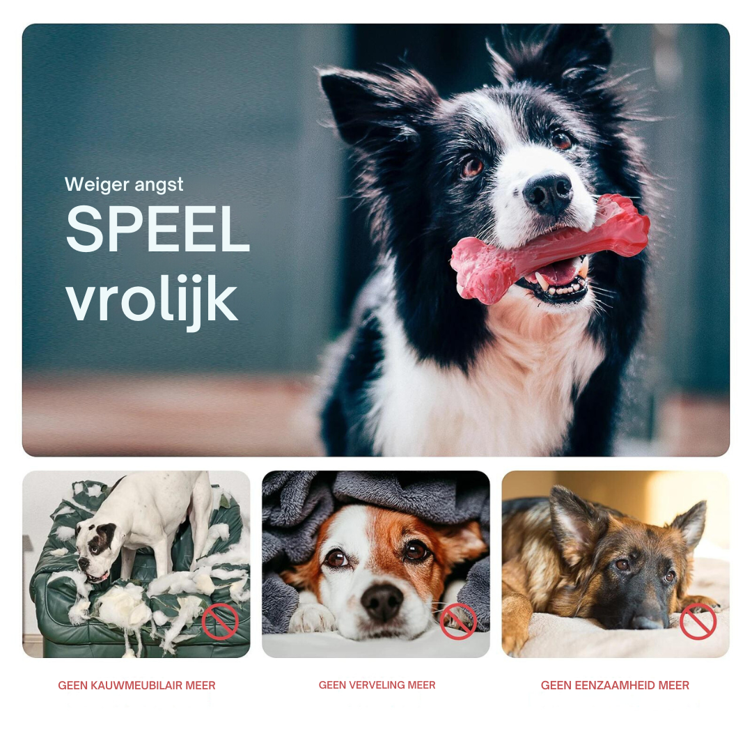 Hondentandverzorger Speels en Leuk voor BuddyChew