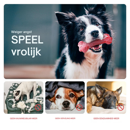 Hondentandverzorger Speels en Leuk voor BuddyChew