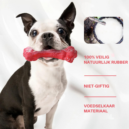 Hondentandverzorger Speels en Leuk voor BuddyChew