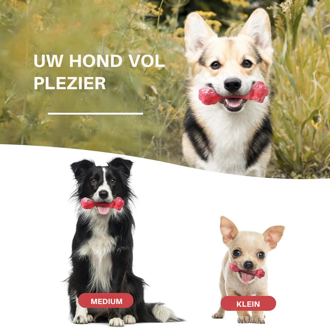 Hondentandverzorger Speels en Leuk voor BuddyChew