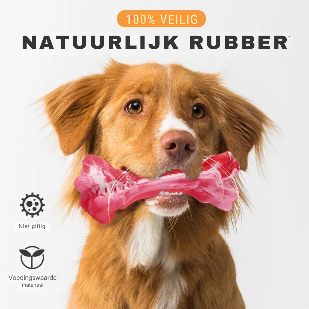 Hondentandverzorger Speels en Leuk voor BuddyChew