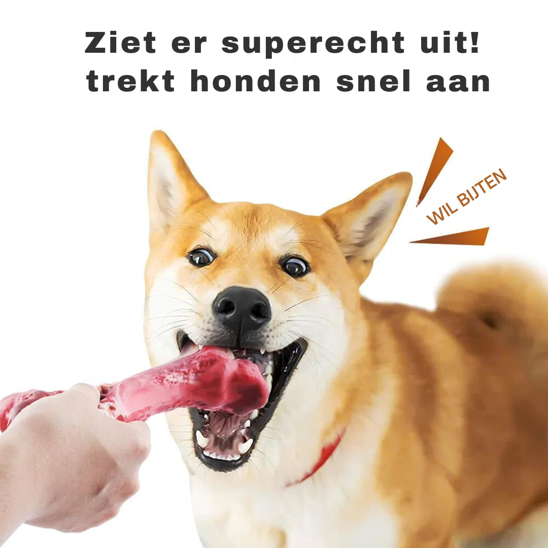 Hondentandverzorger Speels en Leuk voor BuddyChew