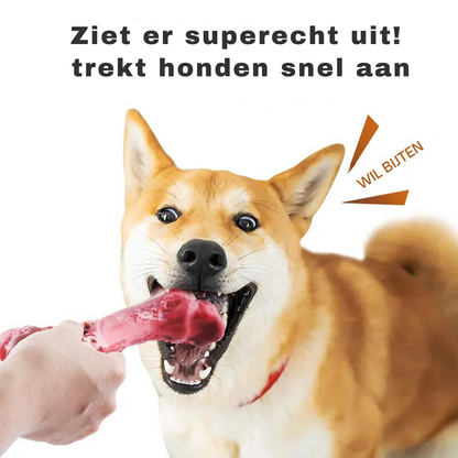 Hondentandverzorger Speels en Leuk voor BuddyChew