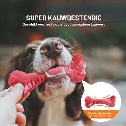Hondentandverzorger Speels en Leuk voor BuddyChew