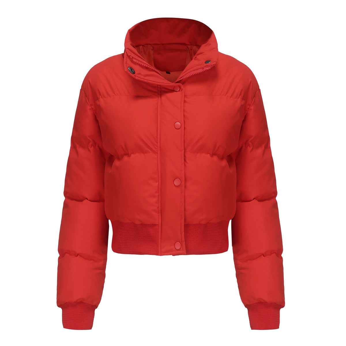 Dames Pufferjas Kort met Hoogsluitende Kraag Warm