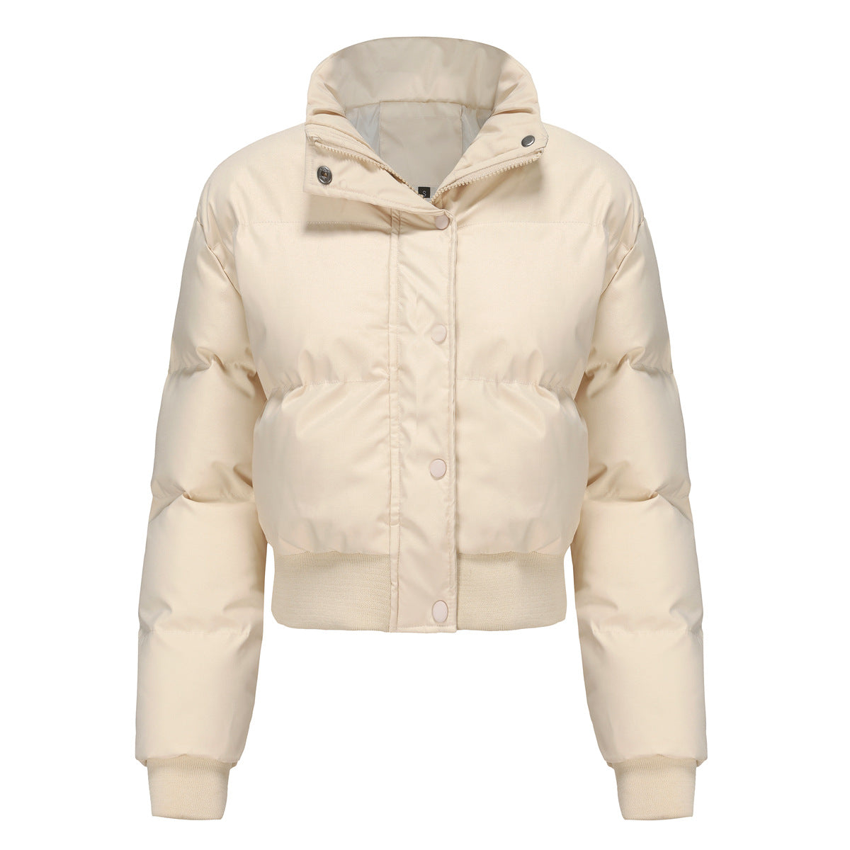 Dames Pufferjas Kort met Hoogsluitende Kraag Warm