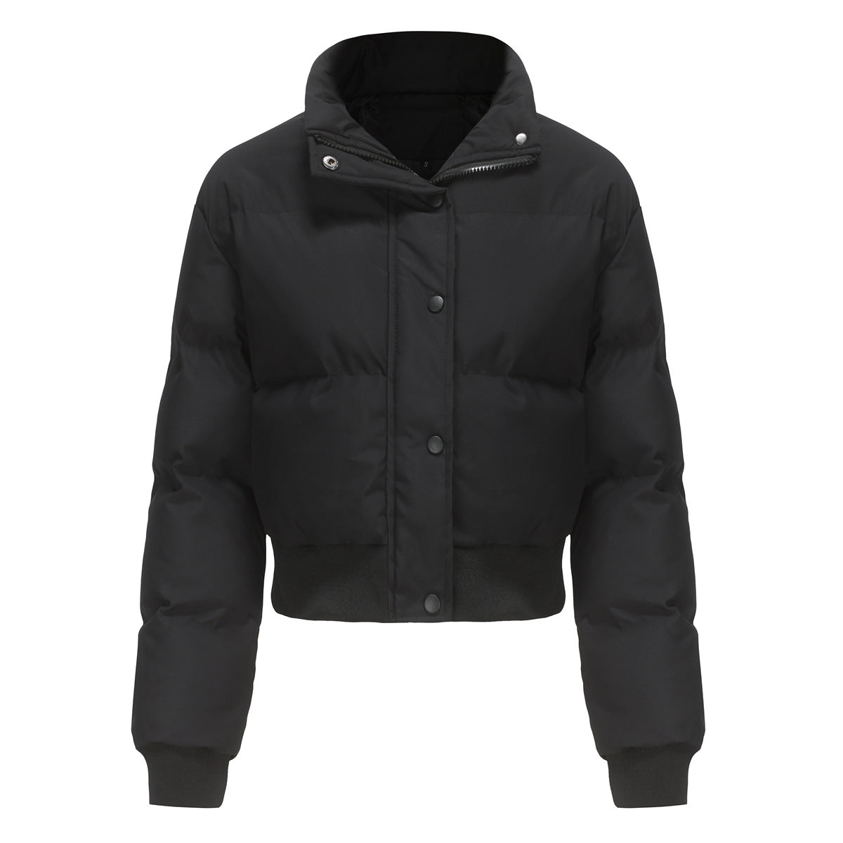 Dames Pufferjas Kort met Hoogsluitende Kraag Warm