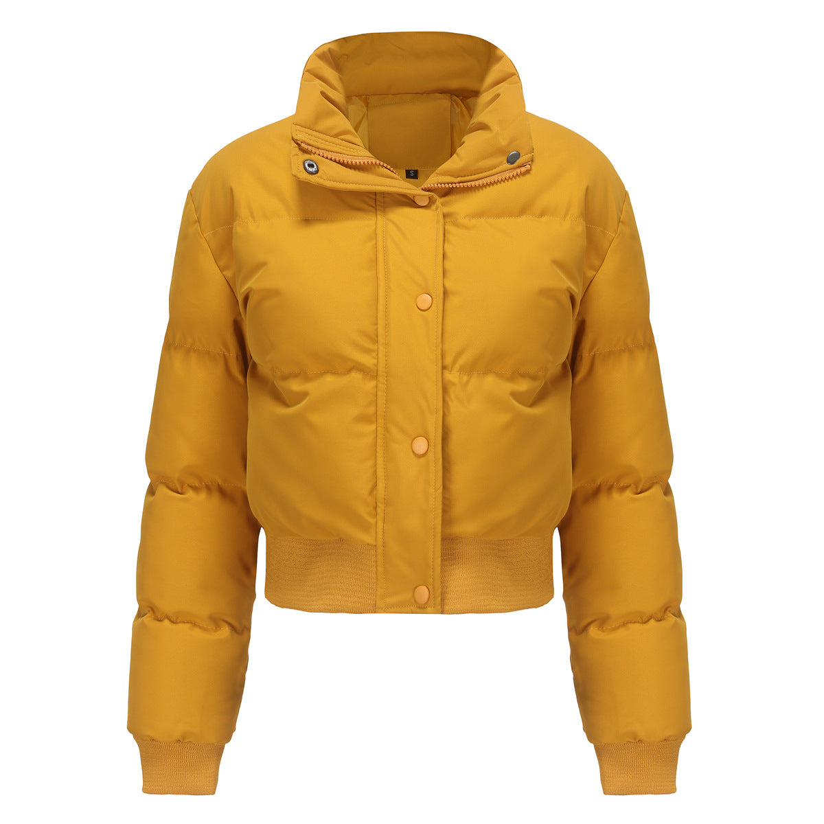 Dames Pufferjas Kort met Hoogsluitende Kraag Warm