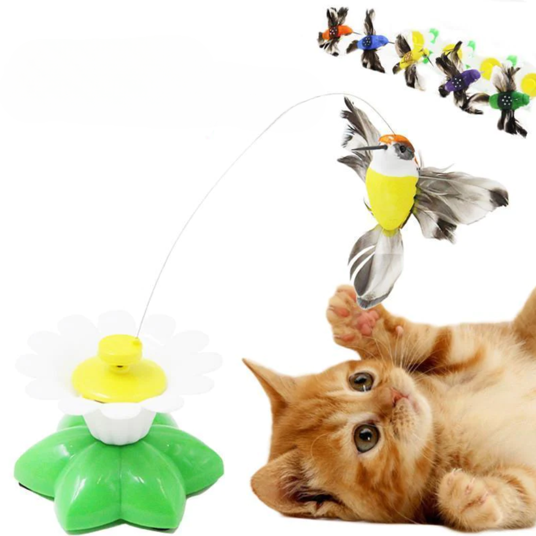 Kattenspeeltje Vogel met Veer en Touw - Mode Vibes