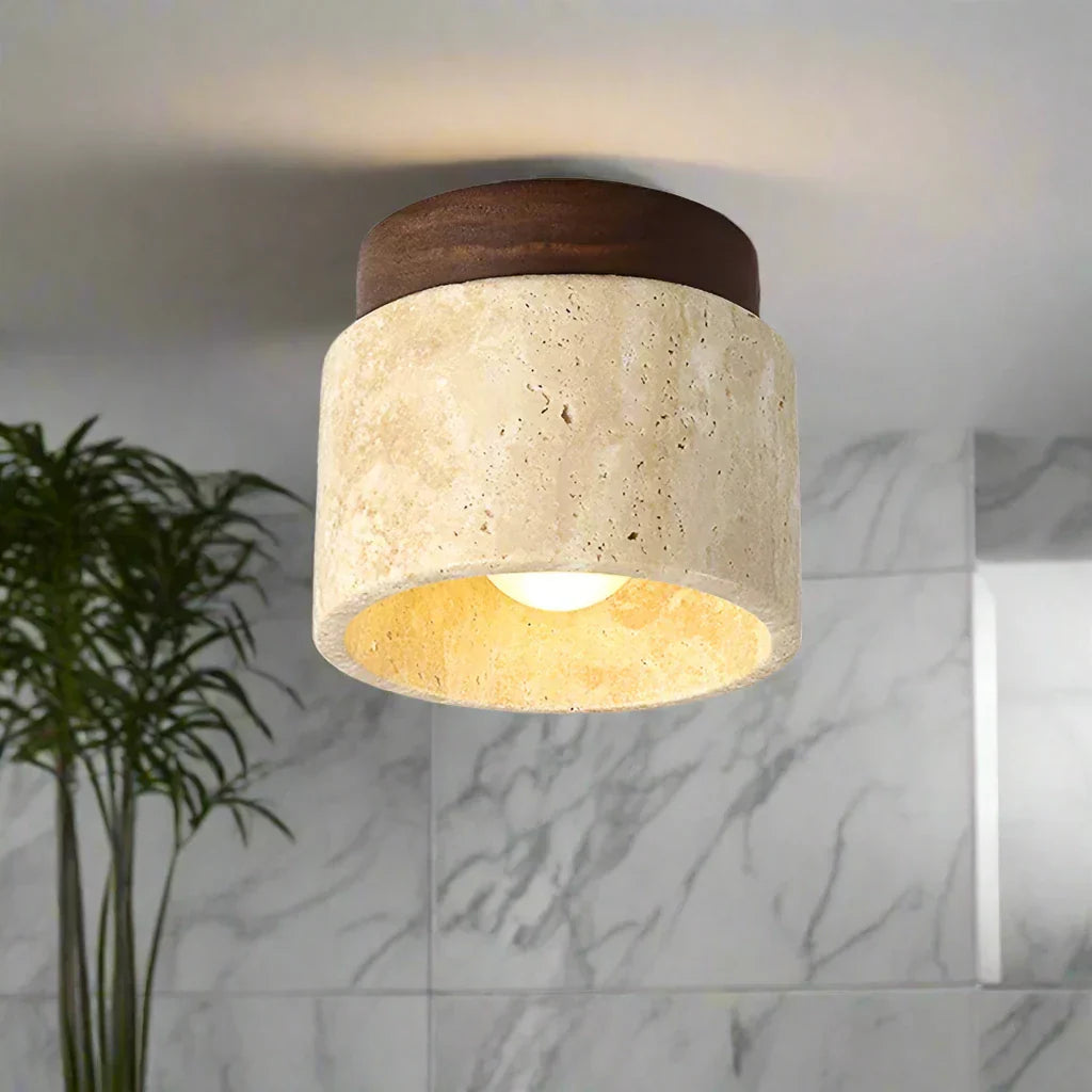 Ovidus plafondlamp | stijlvol | functioneel