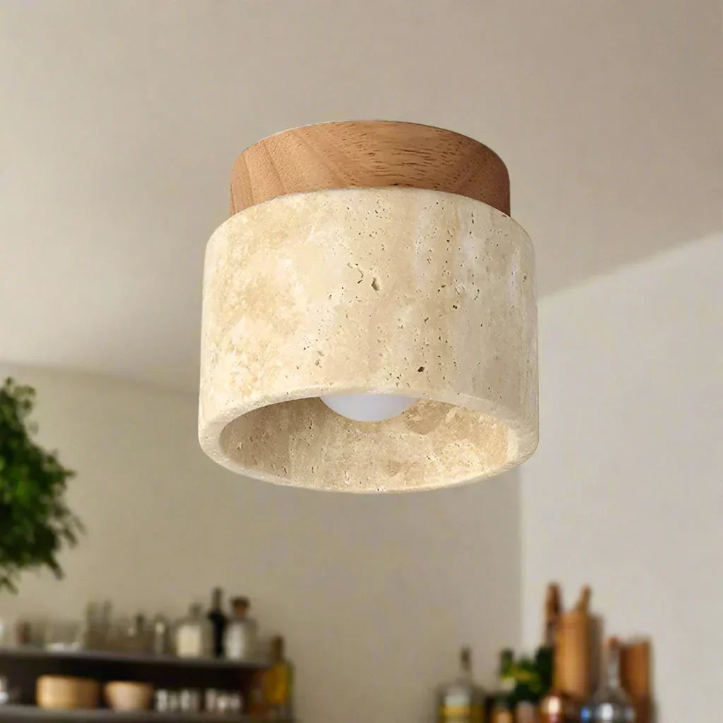 Ovidus plafondlamp | stijlvol | functioneel