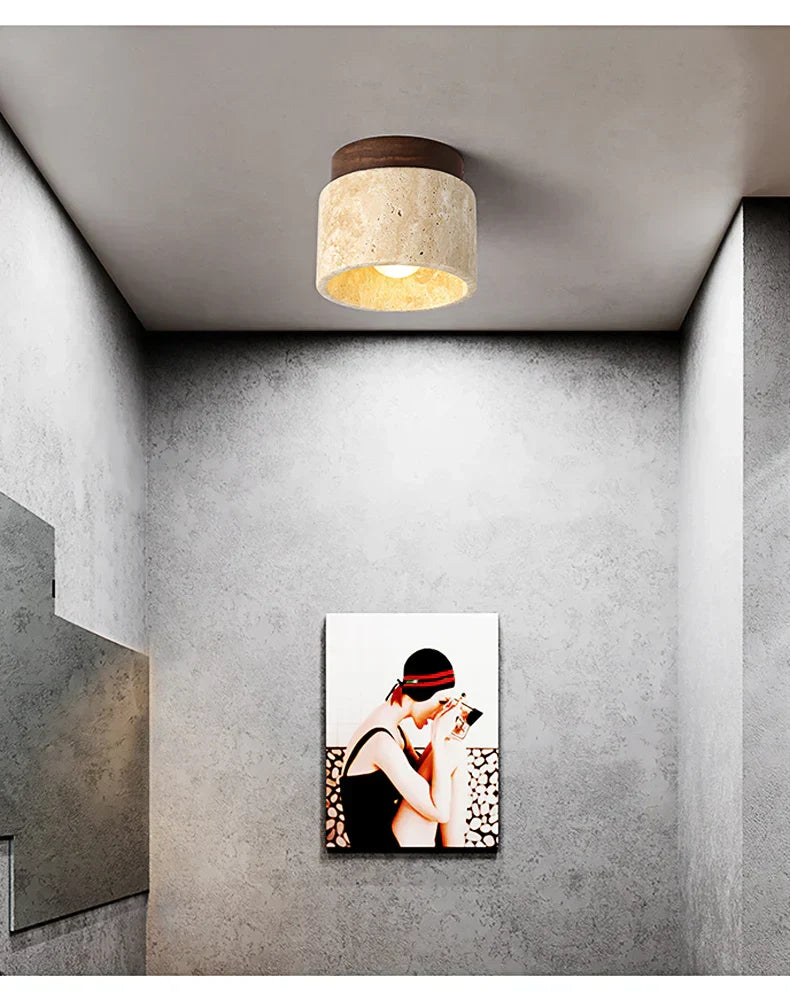 Ovidus plafondlamp | stijlvol | functioneel